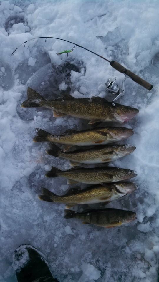 Ed Closs limit 12-28-13.jpg