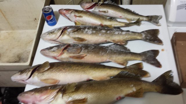 Ice Fishing 2015 074_Edit_1.jpg