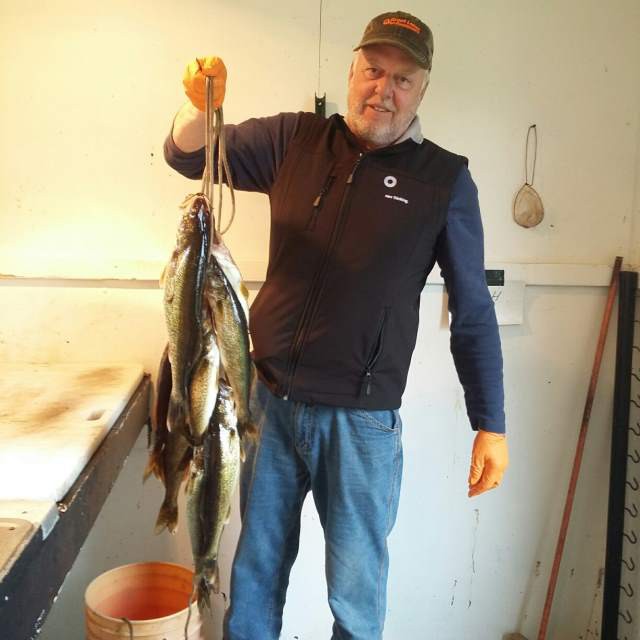 5-16-17 walleyes resized.jpg